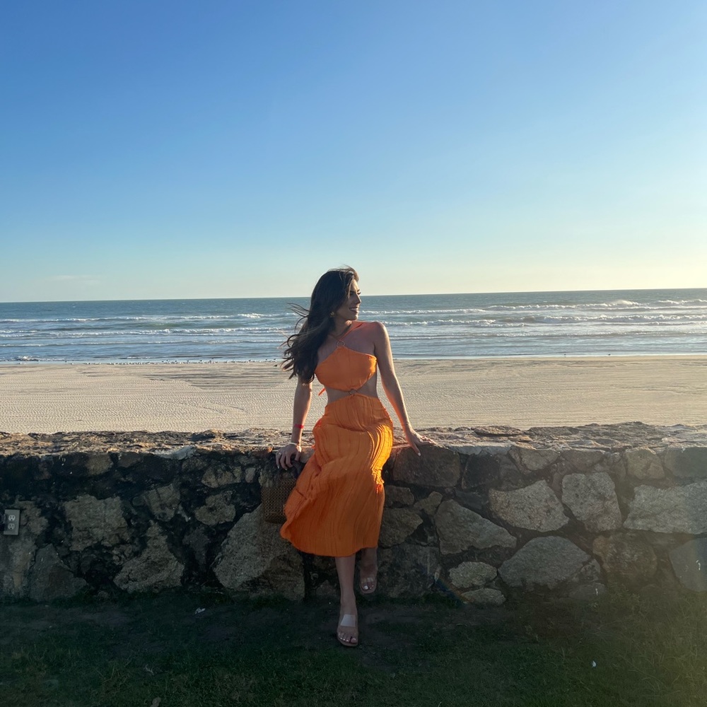 Baobab Backless Dress - Picture 5 of 5